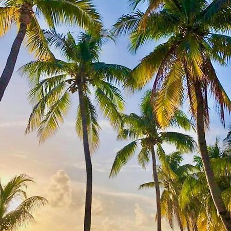 Vc Beach Suites Исла-Мухерес Экстерьер фото